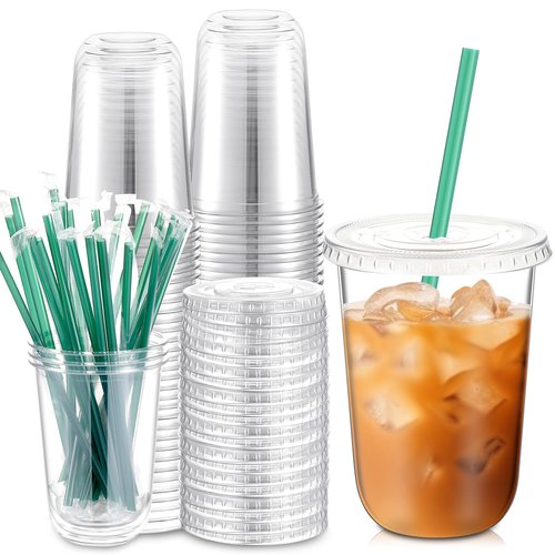 Baderke 25 Sets Clear Plastic Cups with Lids and Straws Disposable Plastic Iced Coffee Cups for Cold Beverage Juice Smoothie Coffee and Party Catering (16 oz)