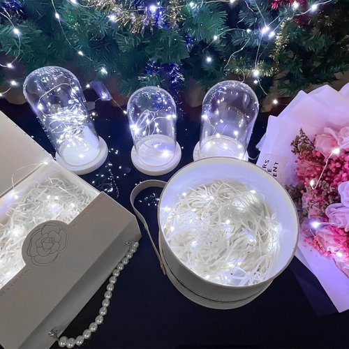 Etinga Fairy Lights - 20 Pack Battery Operated String Lights | 10 LEDs on 3.3ft Silvery Copper Wire for Weddings, Parties & Christmas Decor