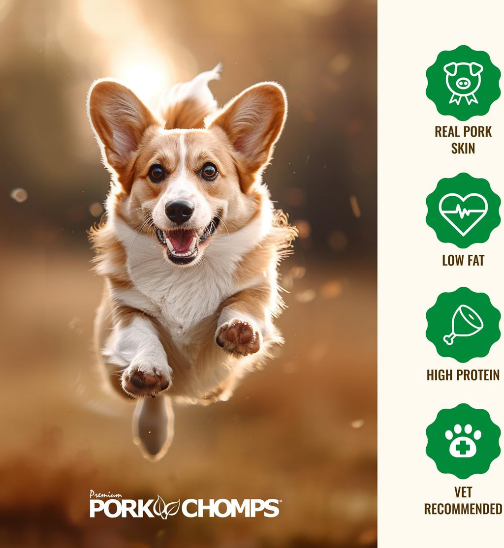 Pork Chomps Roasted Pork Skin Dog Chews - Long-Lasting, High Protein Treats | 6 Inch Rib Shapes, 10 Count