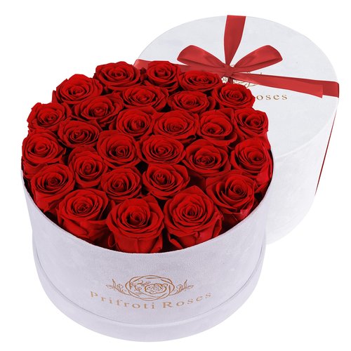 Prifroti 27 Flowers in a Luxury Suede Box, Birthday Gifts for Women, Preserved Flowers, Mothers Day Roses Gift for Mom, Red
