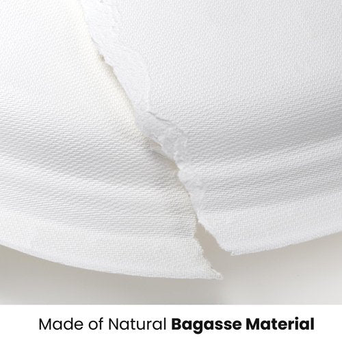 Elsjoy 90 Pack 12.5 Inch Compostable Oval Paper Plates, Large Disposable Dinner Plates, Heavy Duty Paper Platters for Restaurants, BBQ, Parties, Microwave Safe