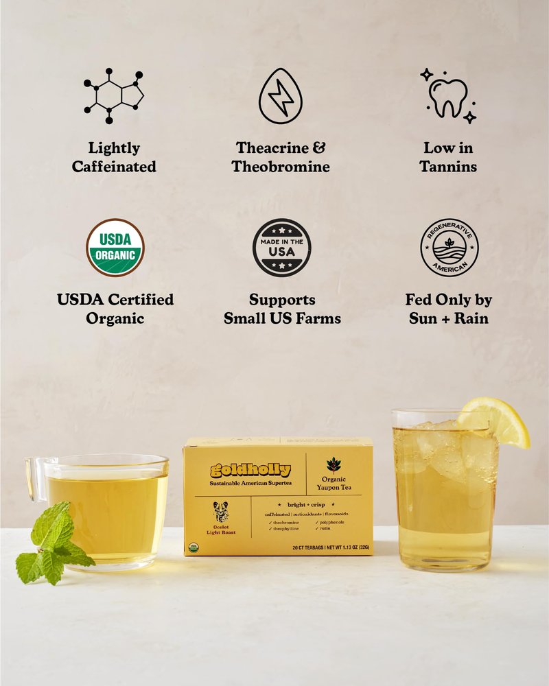 Goldholly Organic Yaupon Tea Bags - Ocelot Light Roast, 20 Count | American Organic Tea for Clean No-Jitter Energy & Focus | Caffeine & Theacrine, Smoother than Traditional Teas | Gold Holly Yaupon