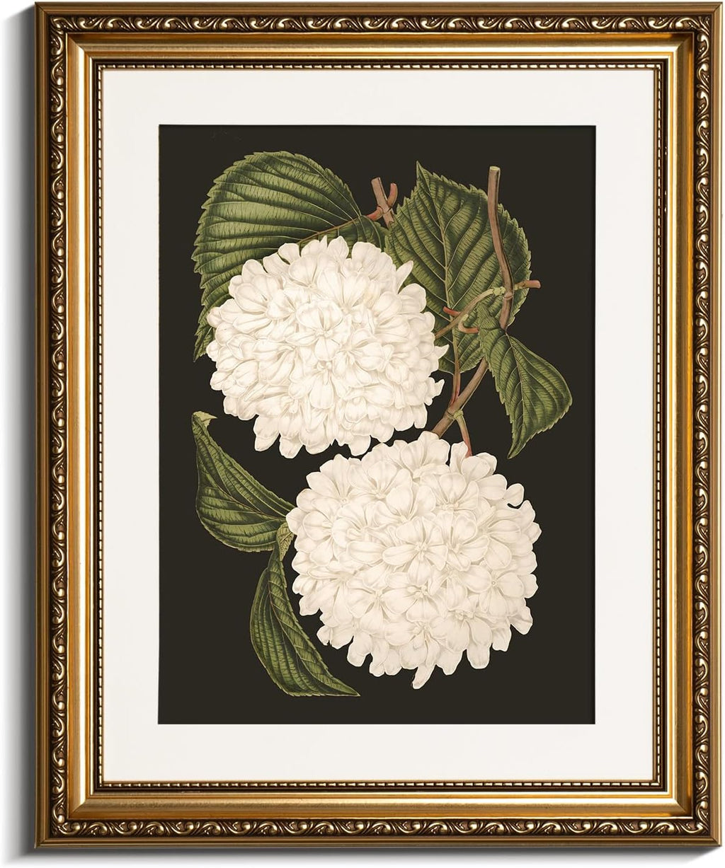 VIYYIEA Gold Framed Canvas Print - White Hydrangea Oil Painting for Elegant Home Decor | 13x16in