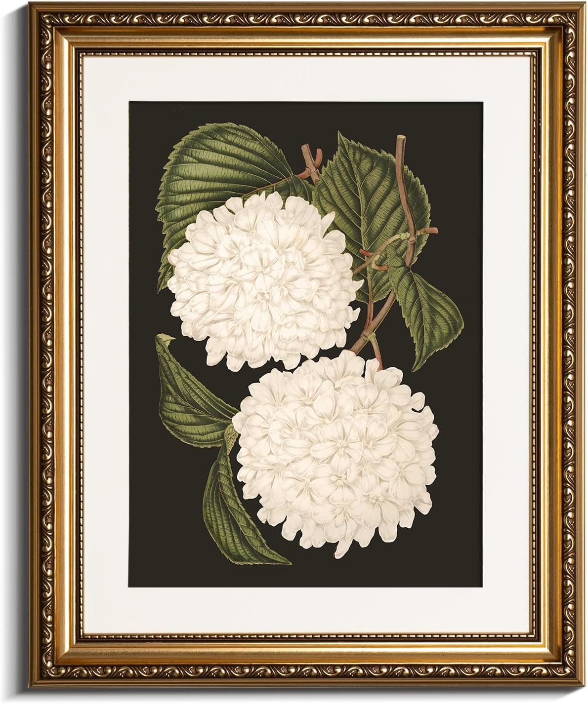 VIYYIEA Gold Framed Canvas Print - White Hydrangea Oil Painting for Elegant Home Decor | 13x16in