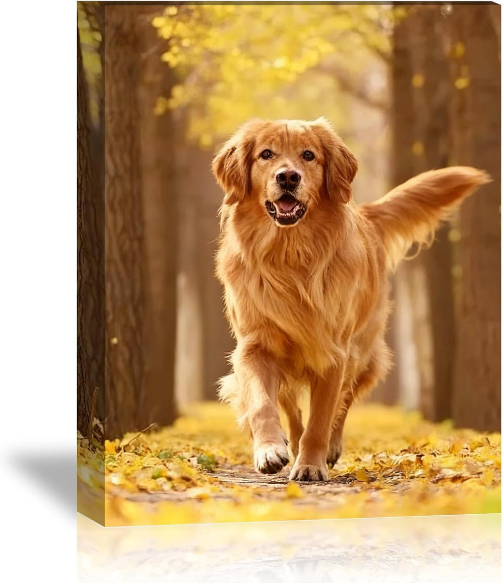 Skiennix Custom Canvas Prints - Personalized Pet Photos for Framed Wall Art | 6" L x 8" W
