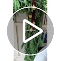 6FT 2PCS Norfolk Pine Garland Real Touch Christmas Decor - Senjie