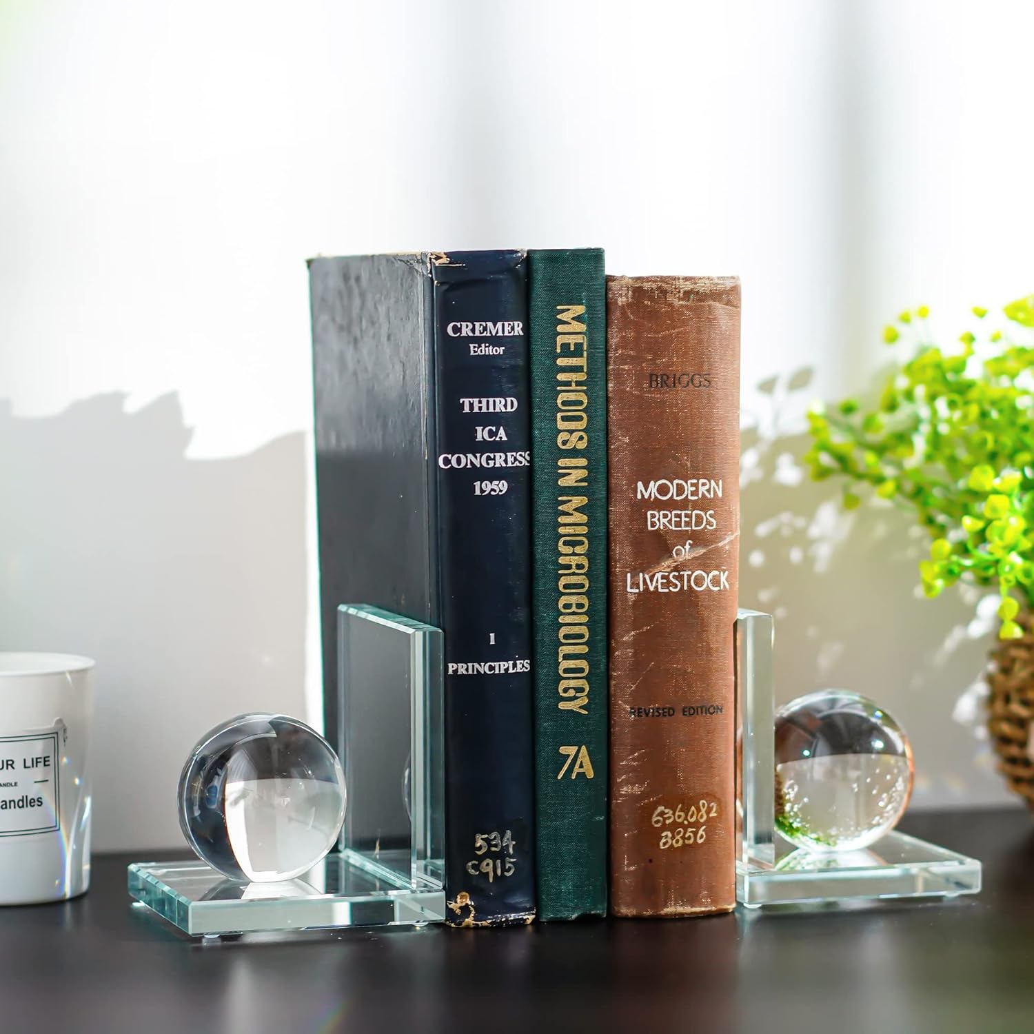 Skiennix Crystal Bookends - Sturdy L-Shape Design with Non-Skid Base | 4-Inch Clear Decorative Ornaments