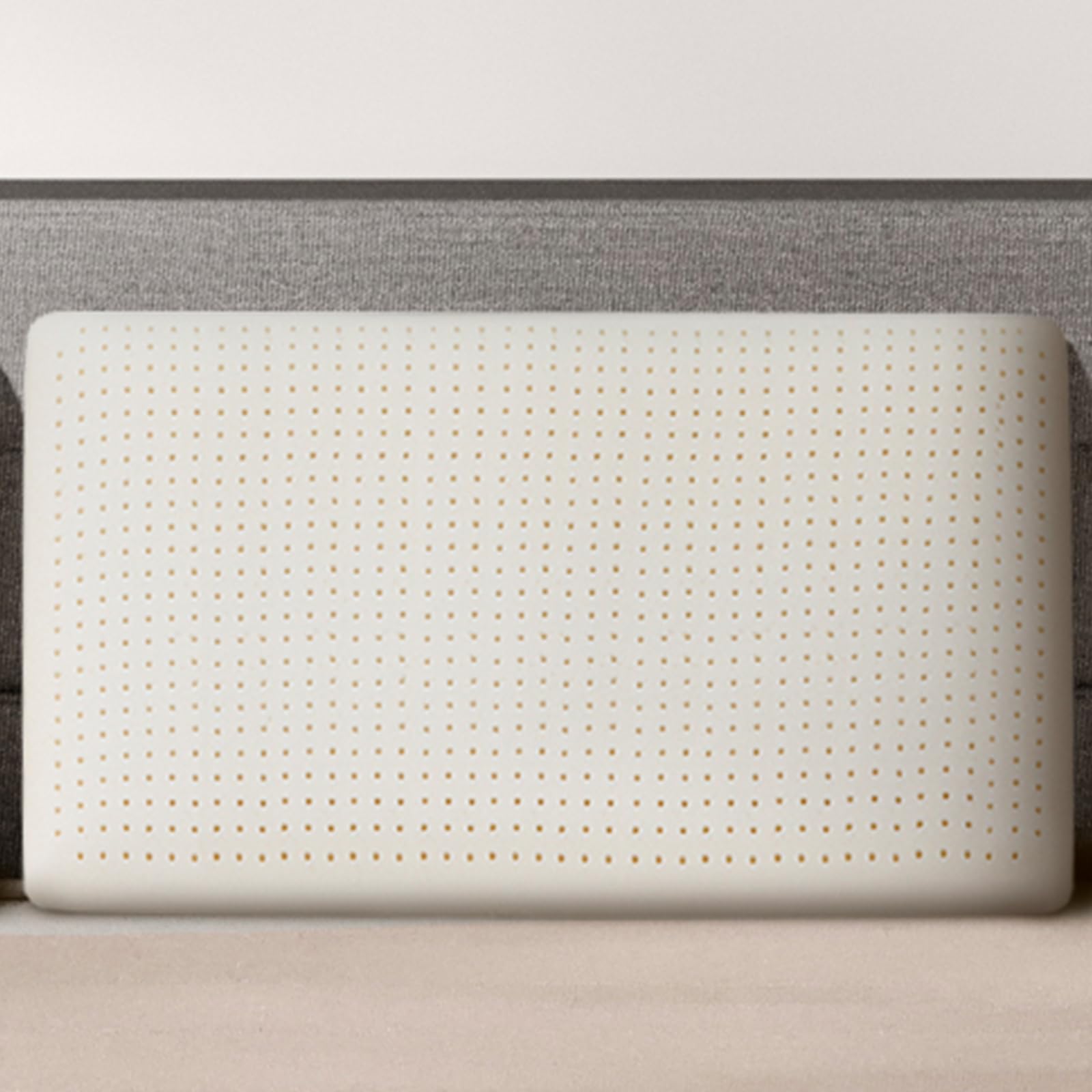 Talalay 100% Natural Premium Latex Pillow, Queen Bed Pillow with Removable Cotton Cover, Helps Relieve Pressure, Sleeping Pillow Suitable for Back and Side Sleepers, Travel Pillow (Queen (Medium))