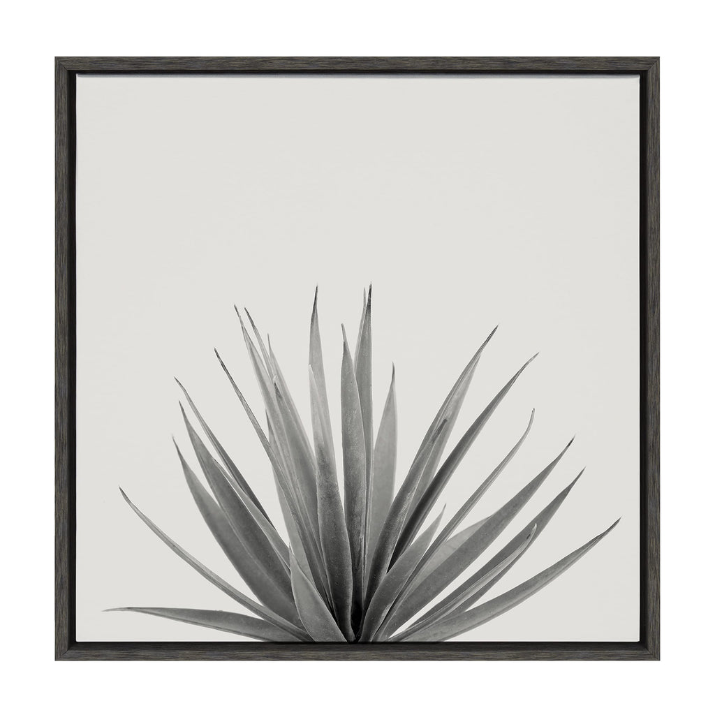 Kate and Laurel Sylvie Haze Agave Succulent Framed Canvas Wall Art by The Creative Bunch Studio, 22x22 Gray, Decorative Succulent Art for Wall