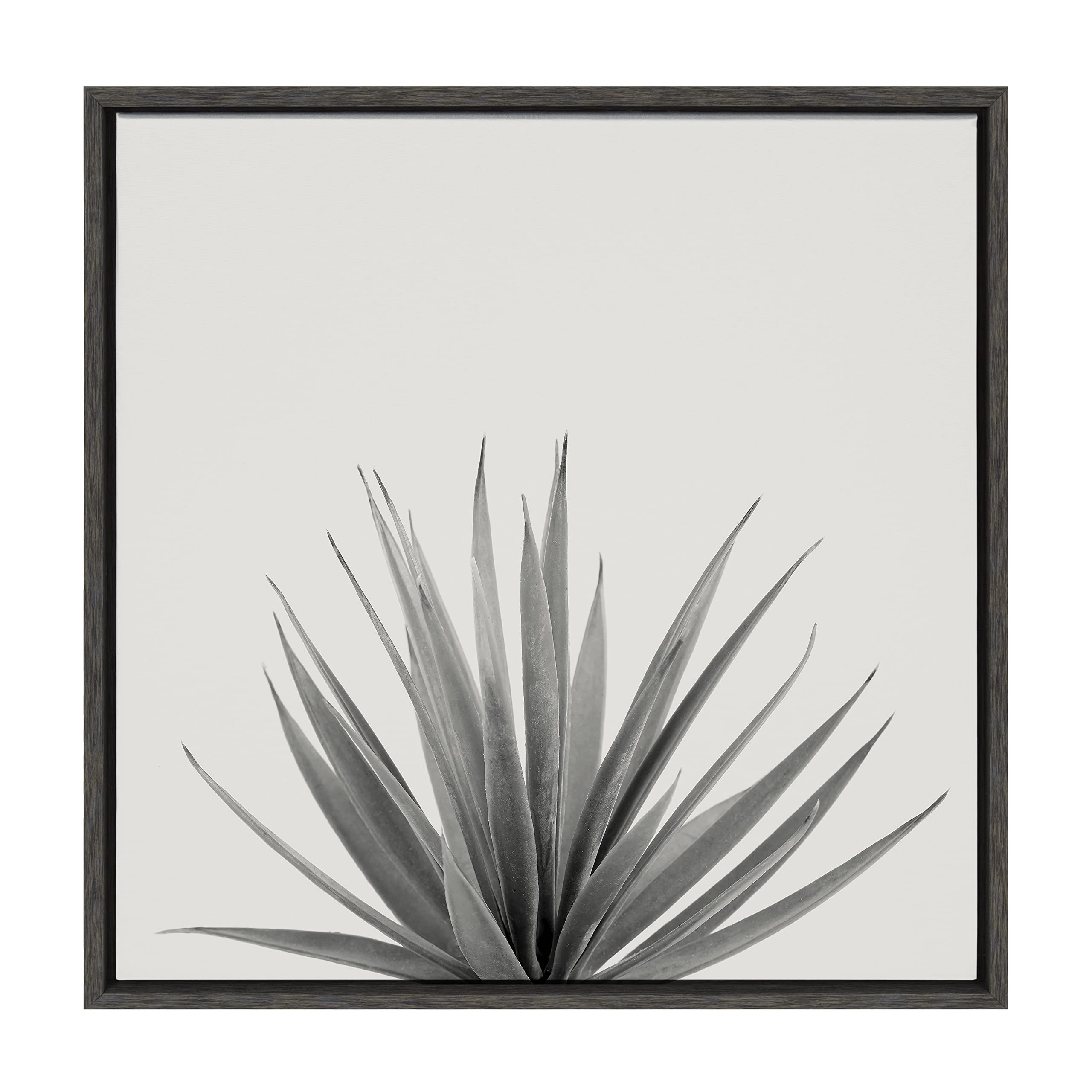Kate and Laurel Sylvie Haze Agave Succulent Framed Canvas Wall Art by The Creative Bunch Studio, 22x22 Gray, Decorative Succulent Art for Wall