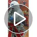 TRURENDI 23cm White Christmas Tree Topper Snowman Plush Holiday Decoration