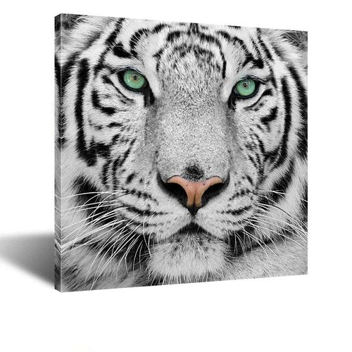 KREATIVE ARTS White Tiger Canvas Art Print Large Animal Wall Art Deco Canvas Picture Stretched on Wooden Frame as Modern Gallery Artwork Ready to Hang 24x24inch