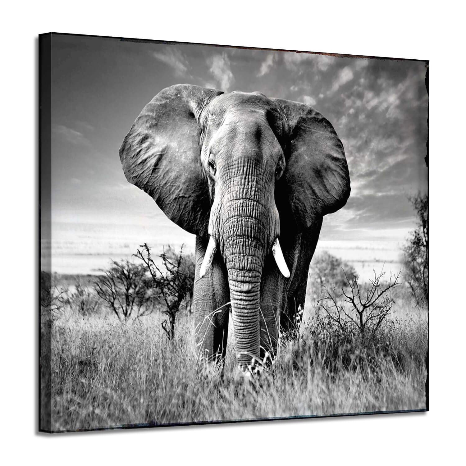 ARTISTIC PATH Canvas Wall Art Elephant Picture: African Animals Graphic Artwork Painting Print for Wall Decor (24" W x 18" H,Multi-Sized)