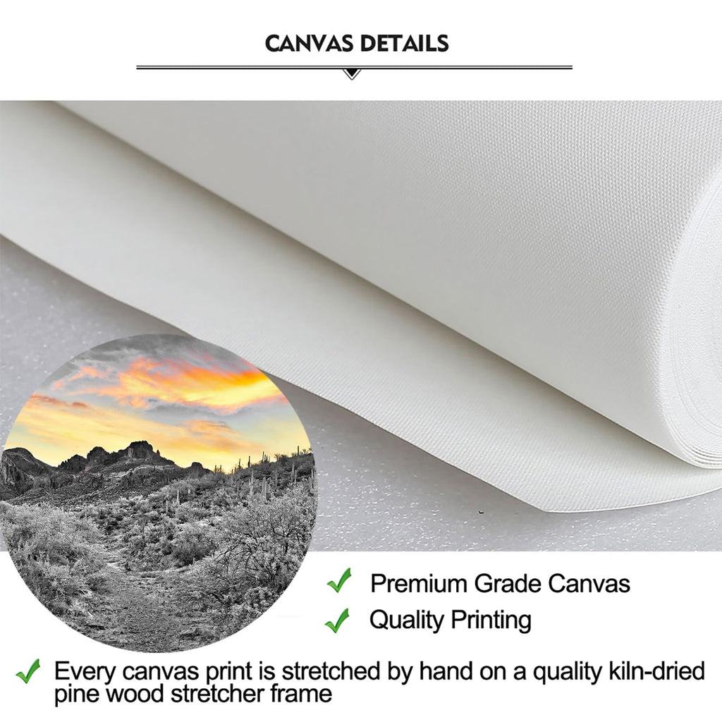 iKNOW FOTO Sonoran Desert Canvas Art Sunset Cactus USA Natural Landscape Picture Print for Home & Office Decor Stretched and Framed Ready to Hang 20x48 Inches