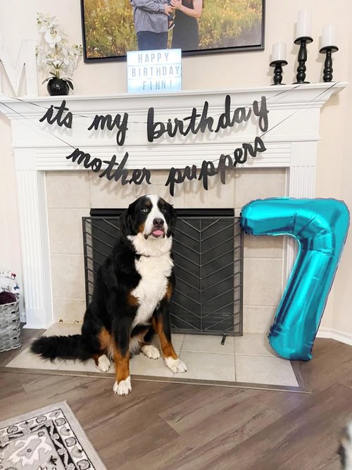 Light Blue Number 7 Balloon by [Brand Name] - 40 Inch Birthday Decoration for Ages 7, 17, 27, 70