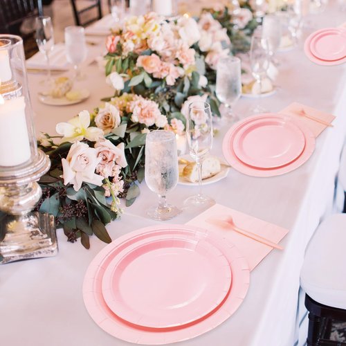 WYQJHKV Pink Party Supplies Set Include Pink Birthday Paper Plates and Napkins for Party Women(Severs 25 Guests)