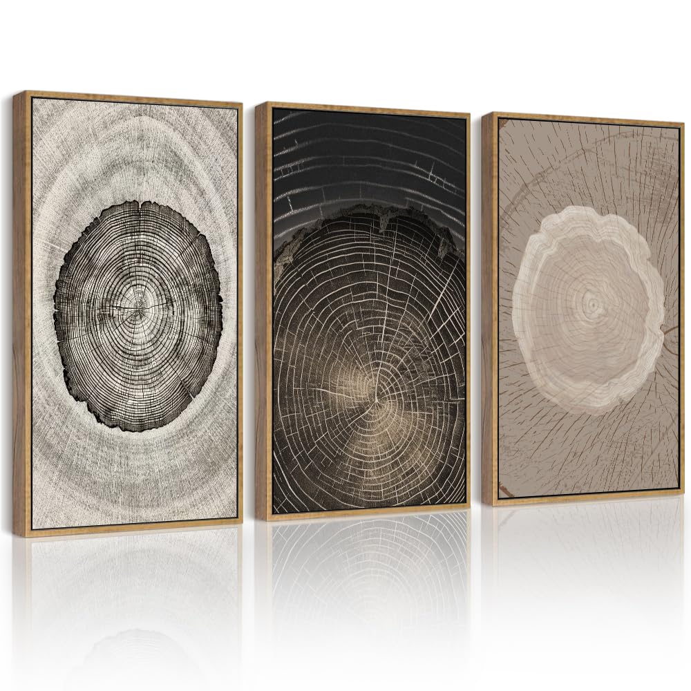 PHOPAGO Vintage Wood Tree Rings Wall Art 16x24in Farmhouse Rustic Framed Canvas Paintings Nature Artwork Natural Framed