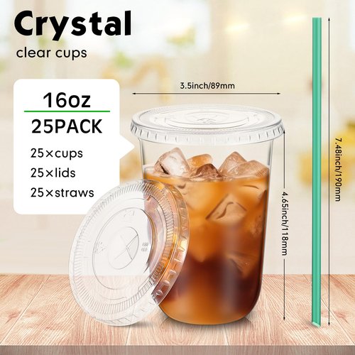 Baderke 25 Sets Clear Plastic Cups with Lids and Straws Disposable Plastic Iced Coffee Cups for Cold Beverage Juice Smoothie Coffee and Party Catering (16 oz)