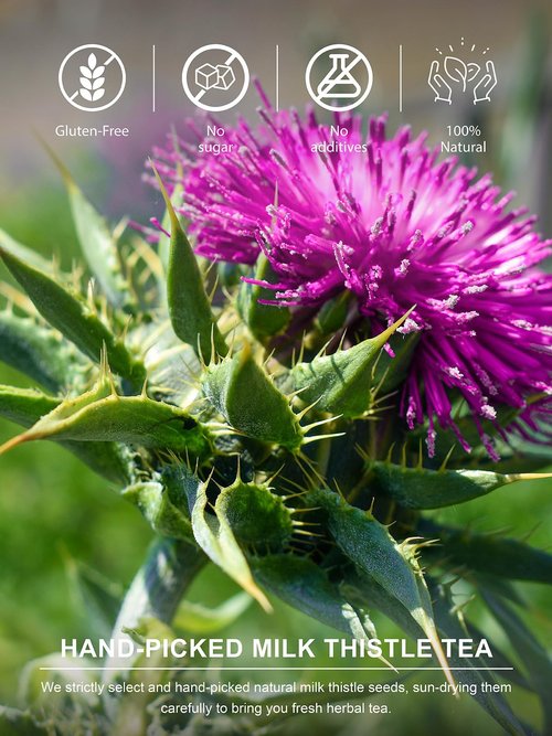 TeeLux Milk Thistle Tea Bags, Natural Milk Thistle Seed Tea, Mild & Mellow Taste, Caffeine Free, 100 Count