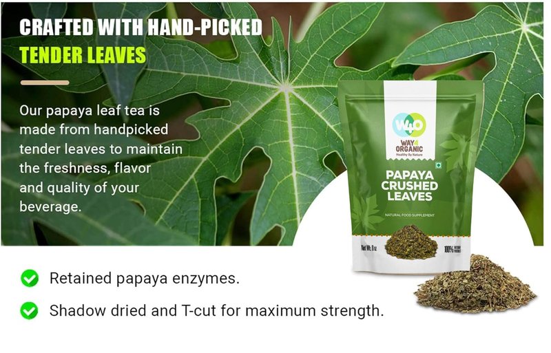 Papaya Leaf Tea 8 Oz, Dried from Fresh Green Leaves, Good to make Tea, 100% Loose Leaves(No Fruit, No Seeds) - Way4Organic (1 Pack(8 Oz))