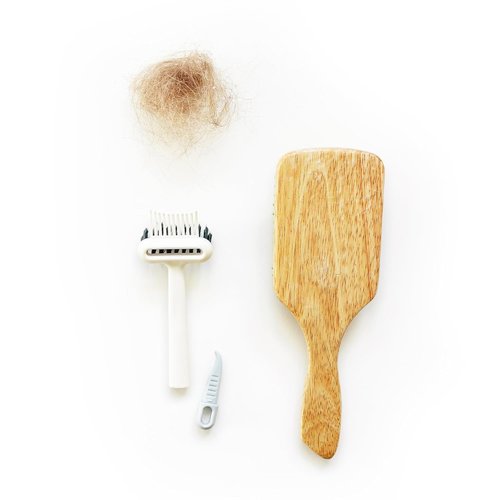 BlairCo Hair Brush & Comb Cleaner Tool - 2-in-1 Design for Easy Hair Removal & Cleaning | Ideal for Salon & Home Use