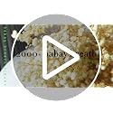 Dried Baby's Breath Flowers - 17-Inch Natural Ivory Gypsophila Bouquet