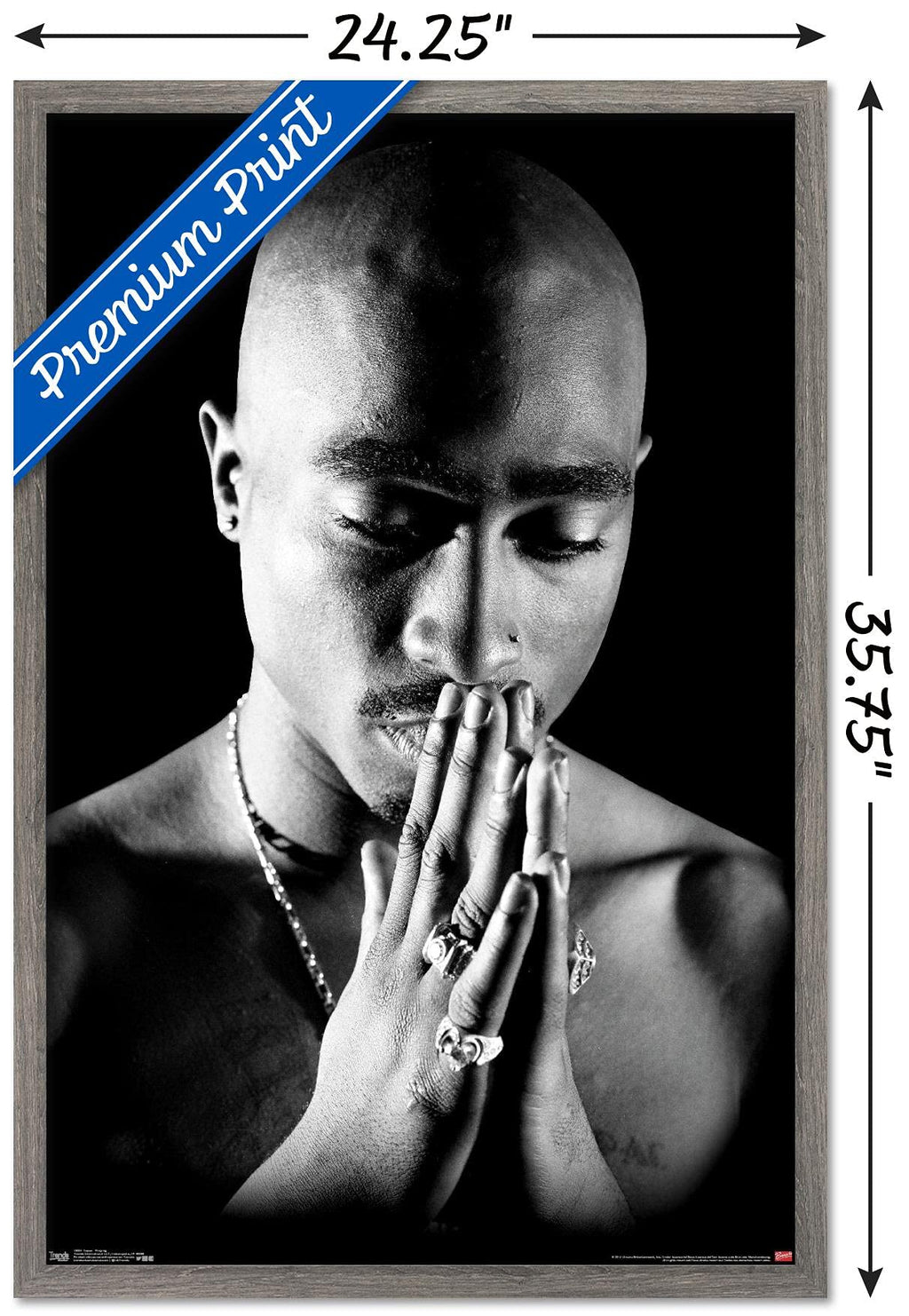 Trends International Tupac - Praying Wall Poster, 22.375" x 34", Barnwood Framed Version