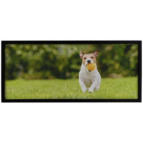 Neil Enterprises Inc. Black Panoramic 24" x 10" Picture Frame