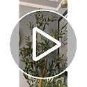 6FT Artificial Olive Tree - Faux Potted Plant for Home Decor
