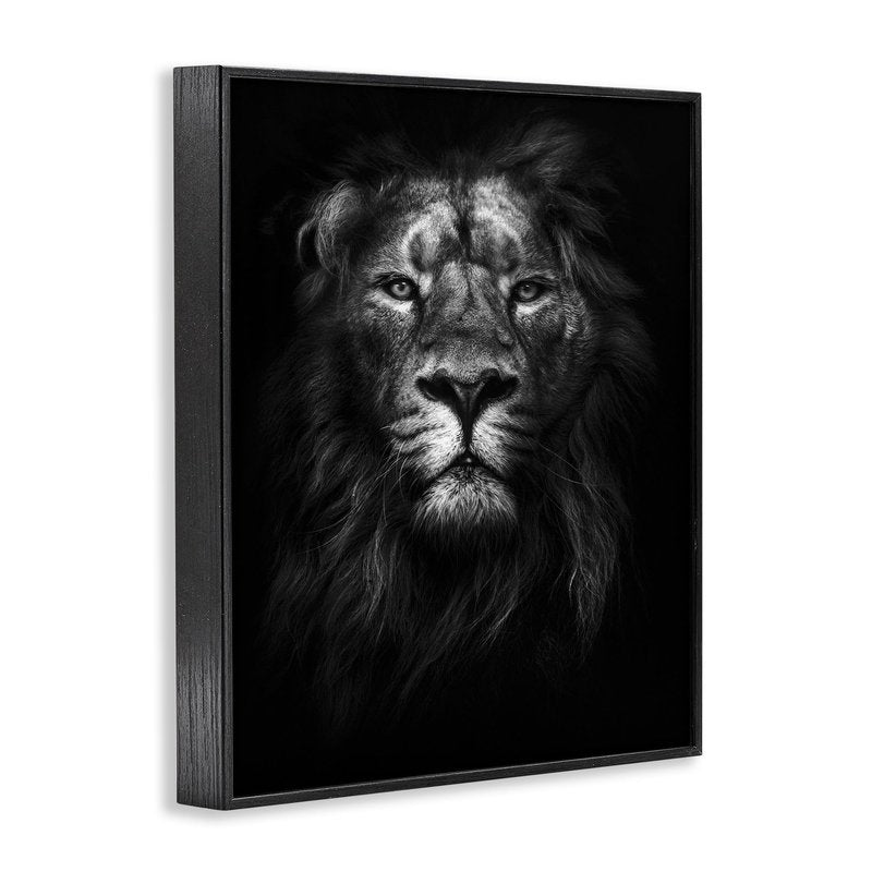 Stupell Industries King of The Jungle Lion in Shadows White Photography Black Framed Wall Art, 24x30, Multicolor