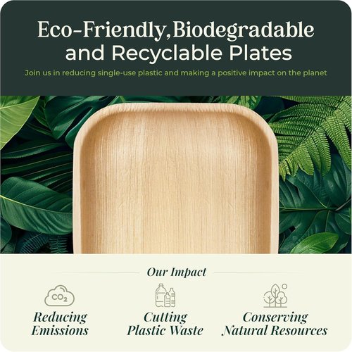 Palm Leaf Platters, 100% Compostable Disposable Eco-Friendly & Biodegradable Party Tableware, Best Alternative to Plastic,(14"x10" 30 Platers) by KoalaLove