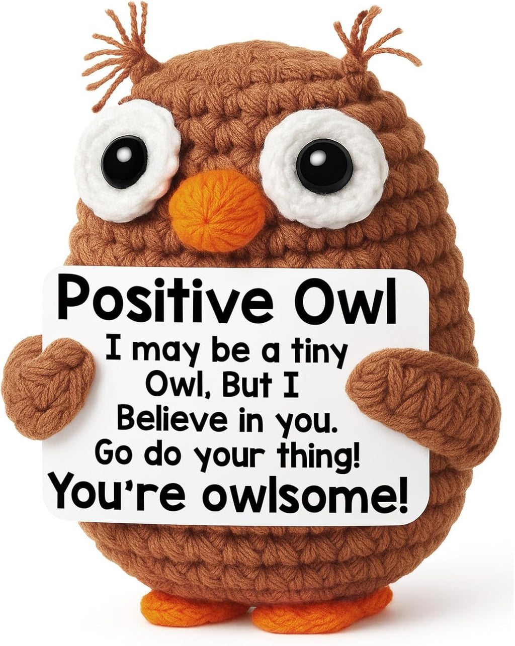Owl Graduation Gifts - Inspirational 2026 Keepsake for Teens, Friends & Teachers | Perfect for Birthdays & Mother's Day