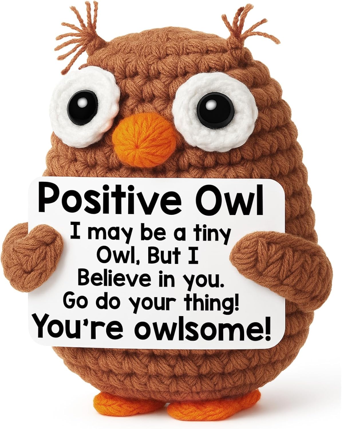 Owl Graduation Gifts - Inspirational 2026 Keepsake for Teens, Friends & Teachers | Perfect for Birthdays & Mother's Day