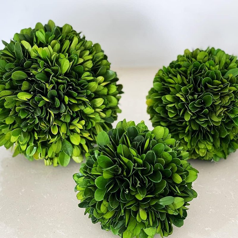 BOXWOOD WORLD Decorative Boxwood Balls for Bowls and Decorative Balls for Centerpiece Bowl Fillers Vase Fillers Home, Kitchen, Living Room Decor (8 inch)