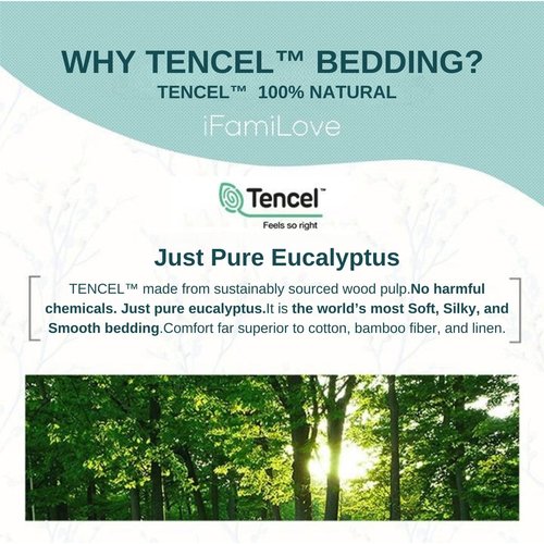 100% Tencel Lyocell 4-Piece Bed Sheet Set – Ultra Soft Silky, Cooling & Moisture-Wicking, Perfect for Hot Sleepers, All Season (Mint Green, King)