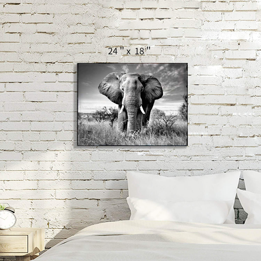 ARTISTIC PATH Canvas Wall Art Elephant Picture: African Animals Graphic Artwork Painting Print for Wall Decor (24" W x 18" H,Multi-Sized)