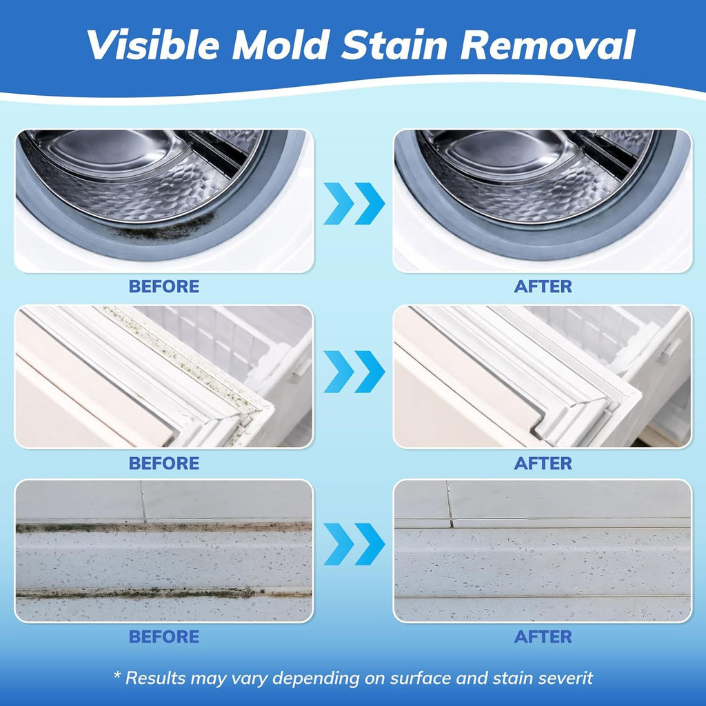 Regine Switzerland Mold-Stain Remover Gel - Low Odor Formula for Washing Machines & Bathrooms | Effective on Rubber Gaskets, Grout & Sealants