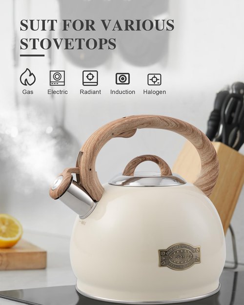 Tea Kettle Stovetop,2.7QT Stainless Steel Whistling Teapot for Stove Top Aesthetic,Portable Water Kettles Camping with Anti-hot Silicone Handle,Suitable for All Heat Sources,Milky White