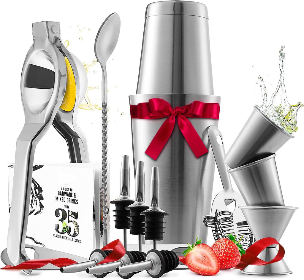 Skiennix Cocktail Shaker Set - 16-Piece Stainless Steel Mixology Kit with Bar Tools & Recipe Book | Silver