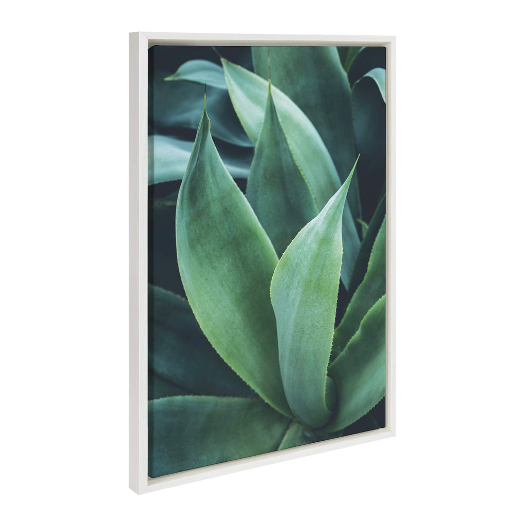 Kate and Laurel Sylvie Agave II Framed Canvas Wall Art by F2Images, 23x33 White, Modern Succulent Wall Decor