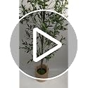 6FT Artificial Olive Tree with Woven Basket - Realistic Faux Plant