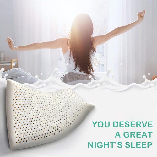 Artka 100% Natural Talalay Latex Pillow Sleeping Bed Pillow - Luxury Queen Pillow for Side, Back, and Stomach Sleepers - Extra Soft Latex Foam Pillow - Removable Breathable Cotton Cover