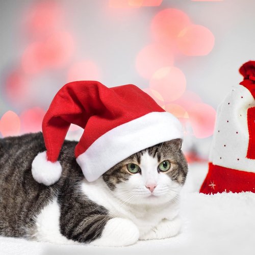 MNKXL Santa Hats Bulk for Adults,108pcs Christmas Hats Adults Universal Fit Plus Size,Thickened Red Santa Claus Hat for Christmas Party Accessories, Mens & Womens Adult Santa Hat