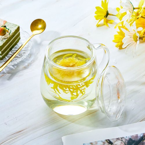 Ritteri Set of 2 Glass Tea Cup with Infuser and Lid - 17.6 oz Thickened Glass Tea Infuser Cup - Simple Filtration for Tea Bags and Loose Leaf Tea