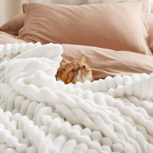 Bedsure Fleece Blanket - Soft Off-White Throw with Matching Pillow Covers | Cozy Home Decor