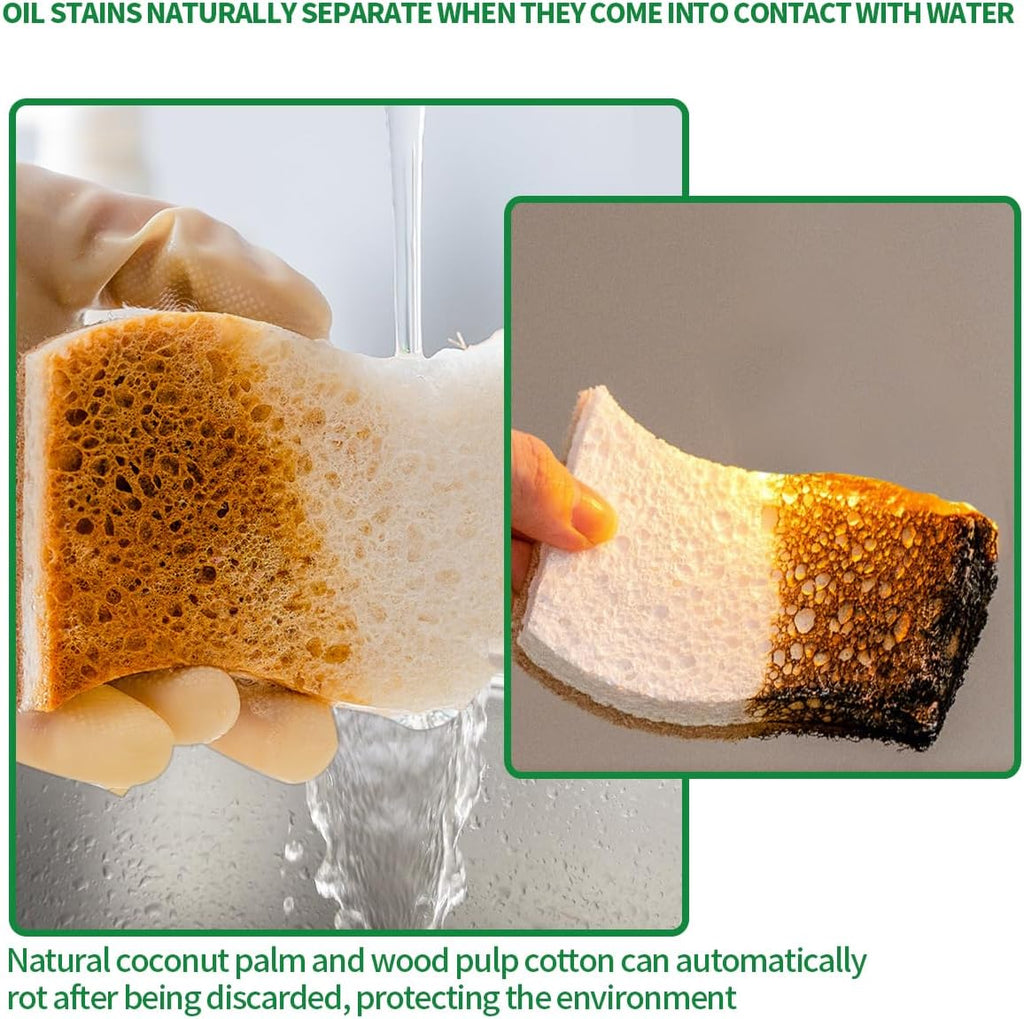 Skiennix Natural Dish Sponges - Biodegradable Plant-Based Cellulose with Coconut Scrubber | Pack of 12