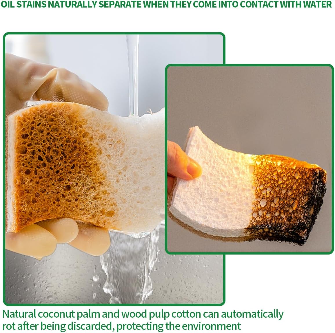 Skiennix Natural Dish Sponges - Biodegradable Plant-Based Cellulose with Coconut Scrubber | Pack of 12