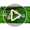 96 Pcs Luminous Mini Christmas Tree & Snowman Figurines Set – Glow in the Dark Resin DIY Holiday Decor