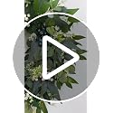 24-Inch Artificial Eucalyptus Wreath for Front Door All-Season Greenery