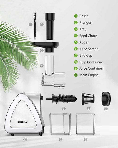 Kedemas Portable Hand Juicer,Juicer Machines with Reverse Function,Low Noise Electric Cold Press Juicer, High Juice Yield,BPA Free 150W,Easy to Clean for Vegetables and Fruits -Silver